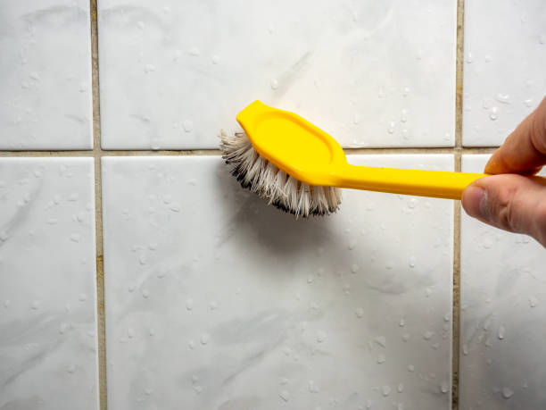 Best Mold Cleaning Services  in Upper Saddle River, NJ