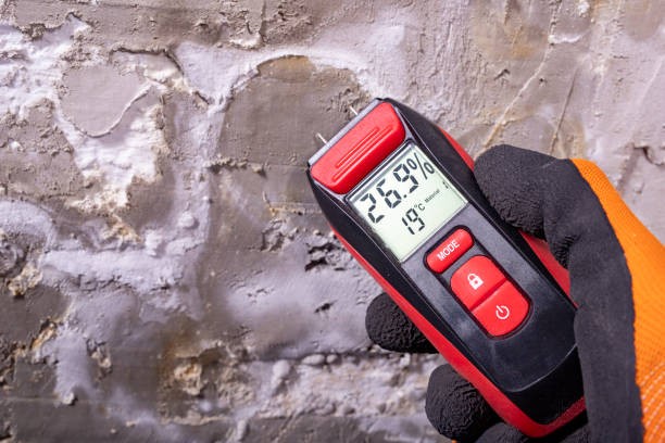 Professional Mold Removal in Upper Saddle River, NJ